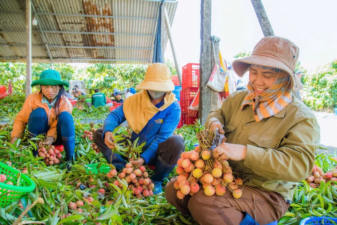 Loại quả bán đầy chợ Việt, sang Nhật thành quà biếu hạng sang: Biết dùng thì bổ toàn thân- Ảnh 2.
