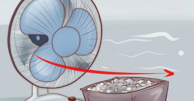Đặt chậu nước, chậu đá trước quạt có làm mát nhà hơn không? Câu trả lời của chuyên gia gây bất ngờ- Ảnh 3.