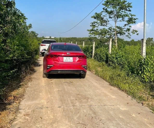 Đất vườn phía Nam có diễn biến “lạ”- Ảnh 1.