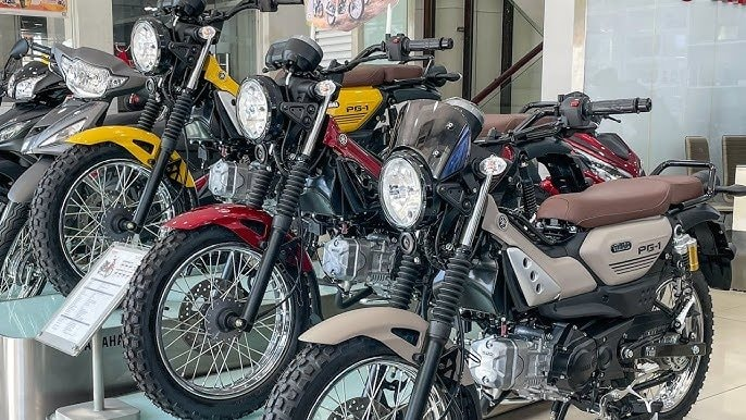 Giá xe máy ở mức thấp hiếm có: Honda Vision, SH, Winner X, Janus... bán dưới mức đề xuất tối đa 23 triệu đồng, tặng kèm đồng hồ xịn xò  - Ảnh 7.