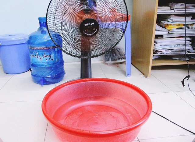 Đặt chậu nước, chậu đá trước quạt có làm mát nhà hơn không? Câu trả lời của chuyên gia gây bất ngờ- Ảnh 1.