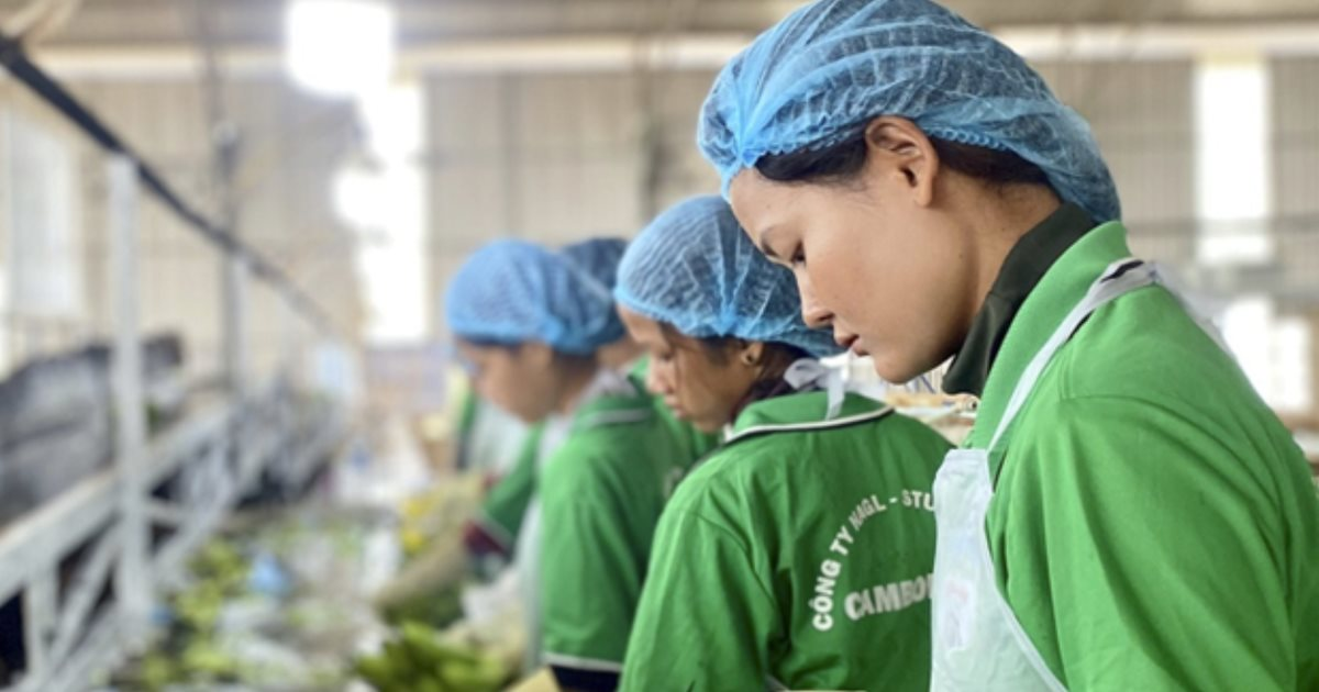 Lời than của bầu Đức "Tìm sếp nông trường còn khó hơn sếp ngân hàng" hé lộ "cơn khát" nhân tài nông nghiệp- Ảnh 1. Lời than của bầu Đức "Tìm sếp nông trường còn khó hơn sếp ngân hàng" hé lộ "cơn khát" nhân tài nông nghiệp- Ảnh 1.