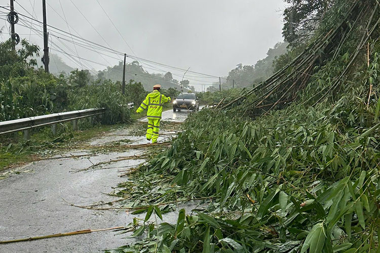 Mưa lớn gây sạt lở, ngập lụt cục bộ nhiều nơi tại Lai Châu - Ảnh 7.