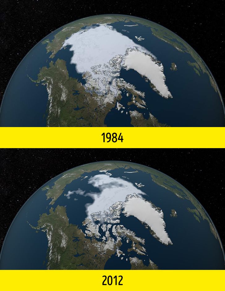 Thế giới của chúng ta đã thay đổi như thế nào? Những bức hình sau sẽ khiến bất kỳ ai cũng phải suy ngẫm và giật mình- Ảnh 9.