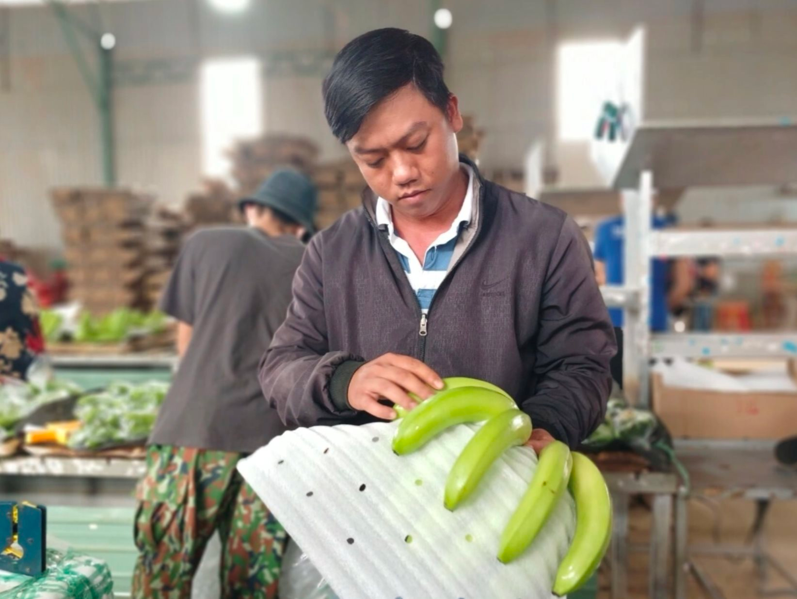 Lời than của bầu Đức "Tìm sếp nông trường còn khó hơn sếp ngân hàng" hé lộ "cơn khát" nhân tài nông nghiệp- Ảnh 2. Lời than của bầu Đức "Tìm sếp nông trường còn khó hơn sếp ngân hàng" hé lộ "cơn khát" nhân tài nông nghiệp- Ảnh 2.