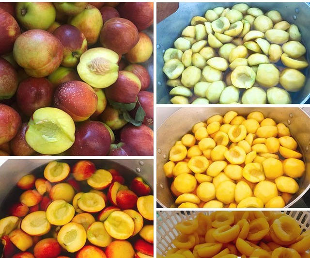 Xin thông báo: Loại quả giàu chất chống oxy hóa đang vào 