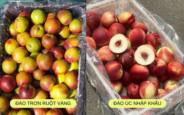 Xin thông báo: Loại quả giàu chất chống oxy hóa đang vào 