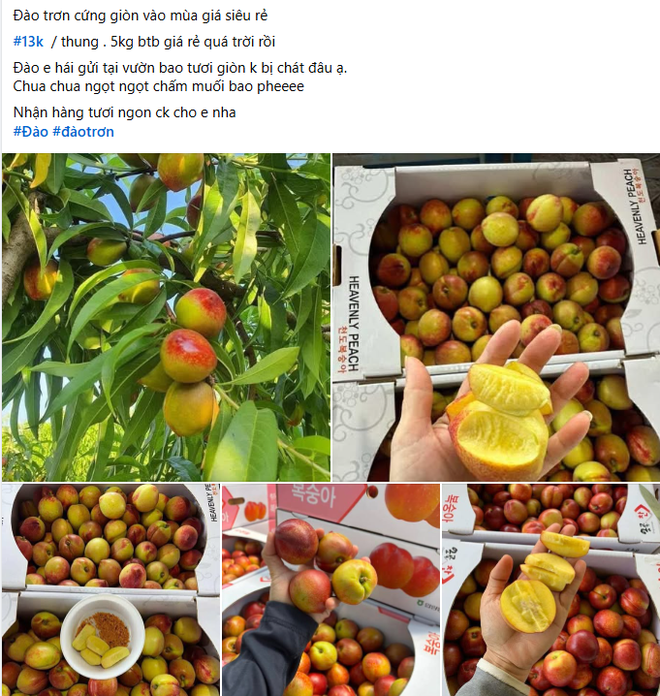 Xin thông báo: Loại quả giàu chất chống oxy hóa đang vào 