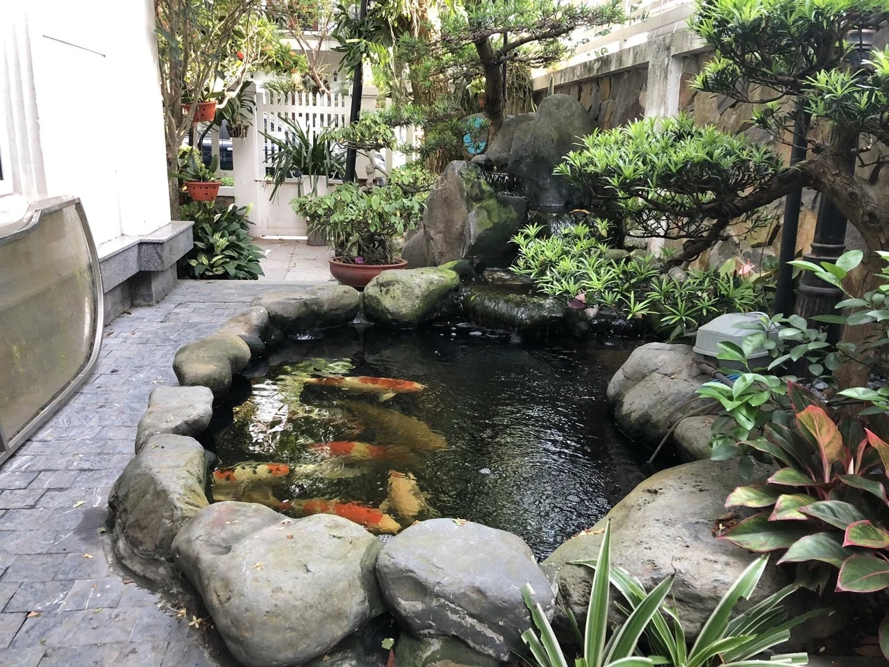 Người xưa dặn trồng chuối sau nhà, nhưng trước cửa mà có thứ này thì ĐỪNG DẠI làm theo!- Ảnh 3. Người xưa dặn trồng chuối sau nhà, nhưng trước cửa mà có thứ này thì ĐỪNG DẠI làm theo!- Ảnh 3.