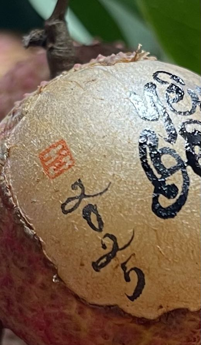 Viết thư pháp trên quả vải thiều, chàng trai gen Z Hà Nội gây sốt mạng