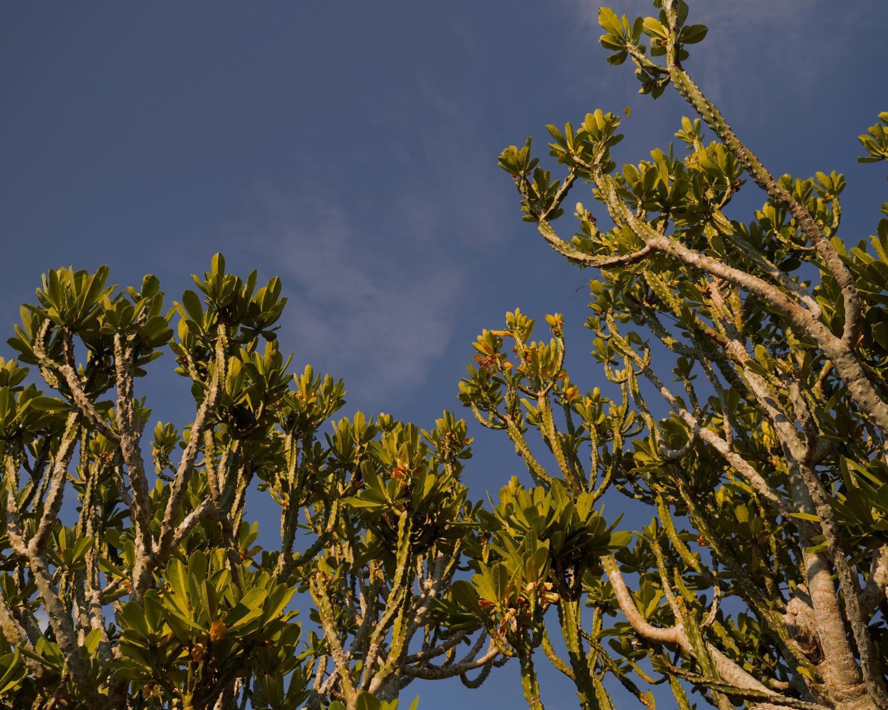 Đắk Lắk có một bãi biển không khác gì biển nước Ý khiến dân tình rần rần đòi “nghỉ hưu sớm”- Ảnh 13.