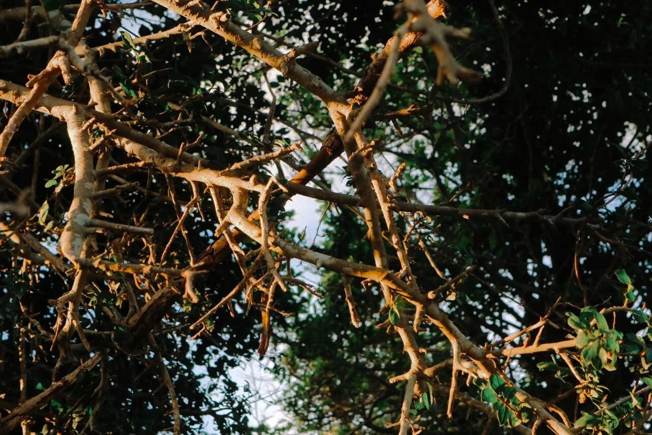 Đắk Lắk có một bãi biển không khác gì biển nước Ý khiến dân tình rần rần đòi “nghỉ hưu sớm”- Ảnh 12.