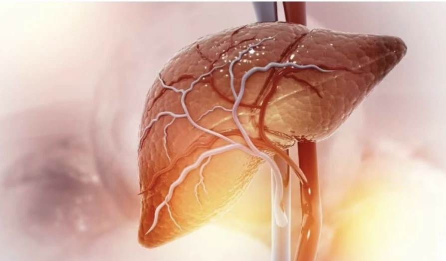 Ngồi thêm 1 tiếng/ngày, lượng mỡ trong gan sẽ tăng 1,15%: Quá nhiều người trẻ mắc căn bệnh ‘ngồi lâu’ này! - Ảnh 2.