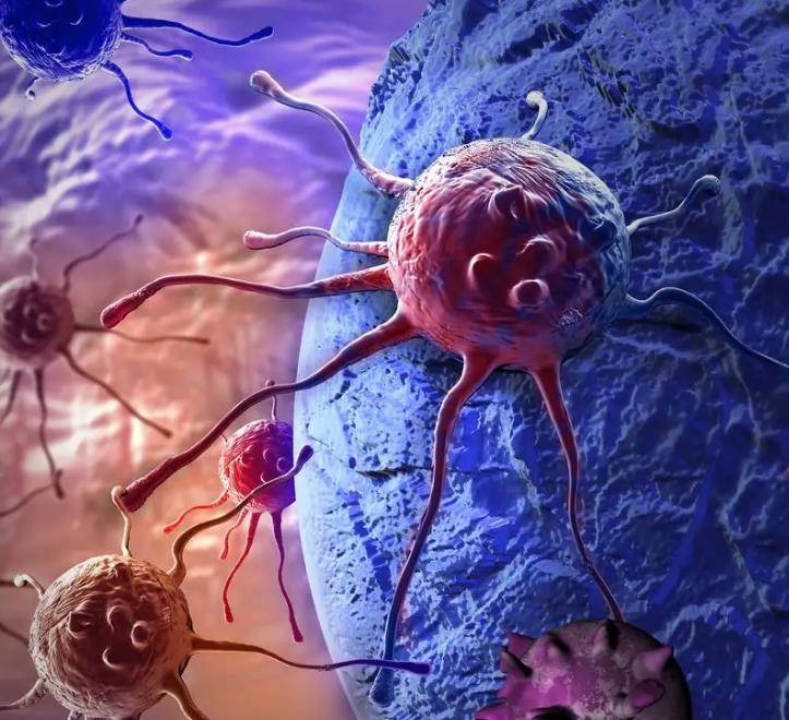 Người không dễ bị ung thư thường có 6 "đặc điểm" rất dễ nhận ra này: Thử xe bạn sở hữu đặc điểm nào - Ảnh 2.