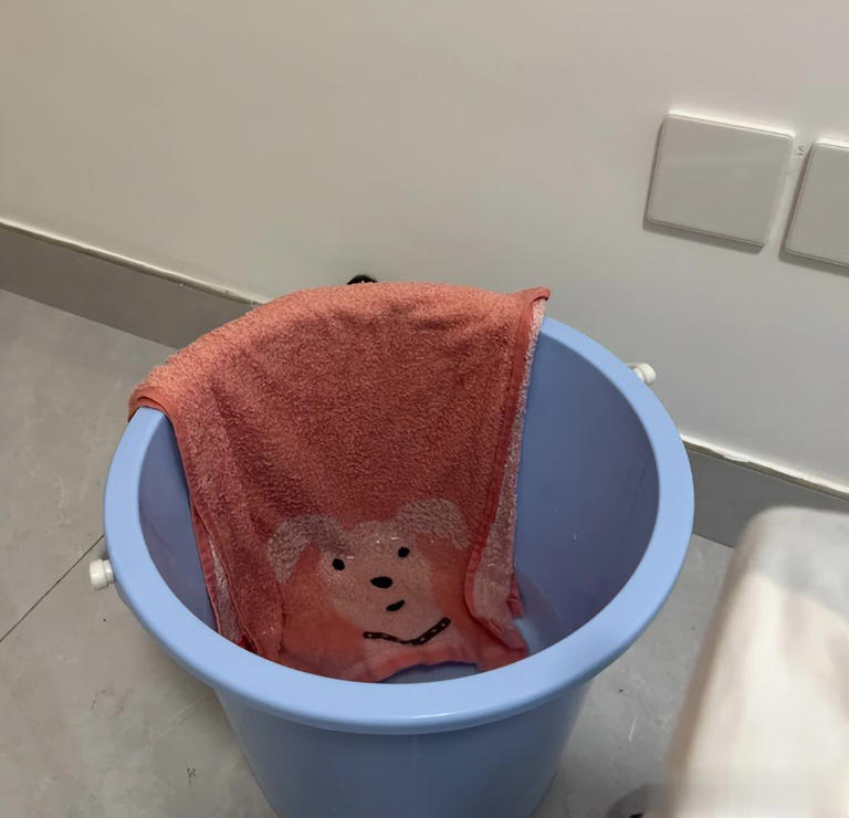 Bật điều hòa mùa hè, hãy đặt “2 thứ” này trong phòng vừa dễ chịu, tiết kiệm tiền điện vừa tránh bệnh tật- Ảnh 1.