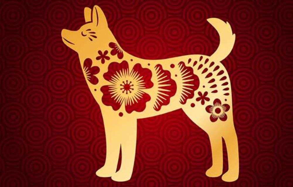 4 con giáp hiền lành, gặp nhiều may mắn, dễ kiếm được nhiều tiền, cứ khó khăn là có quý nhân giúp đỡ- Ảnh 4.