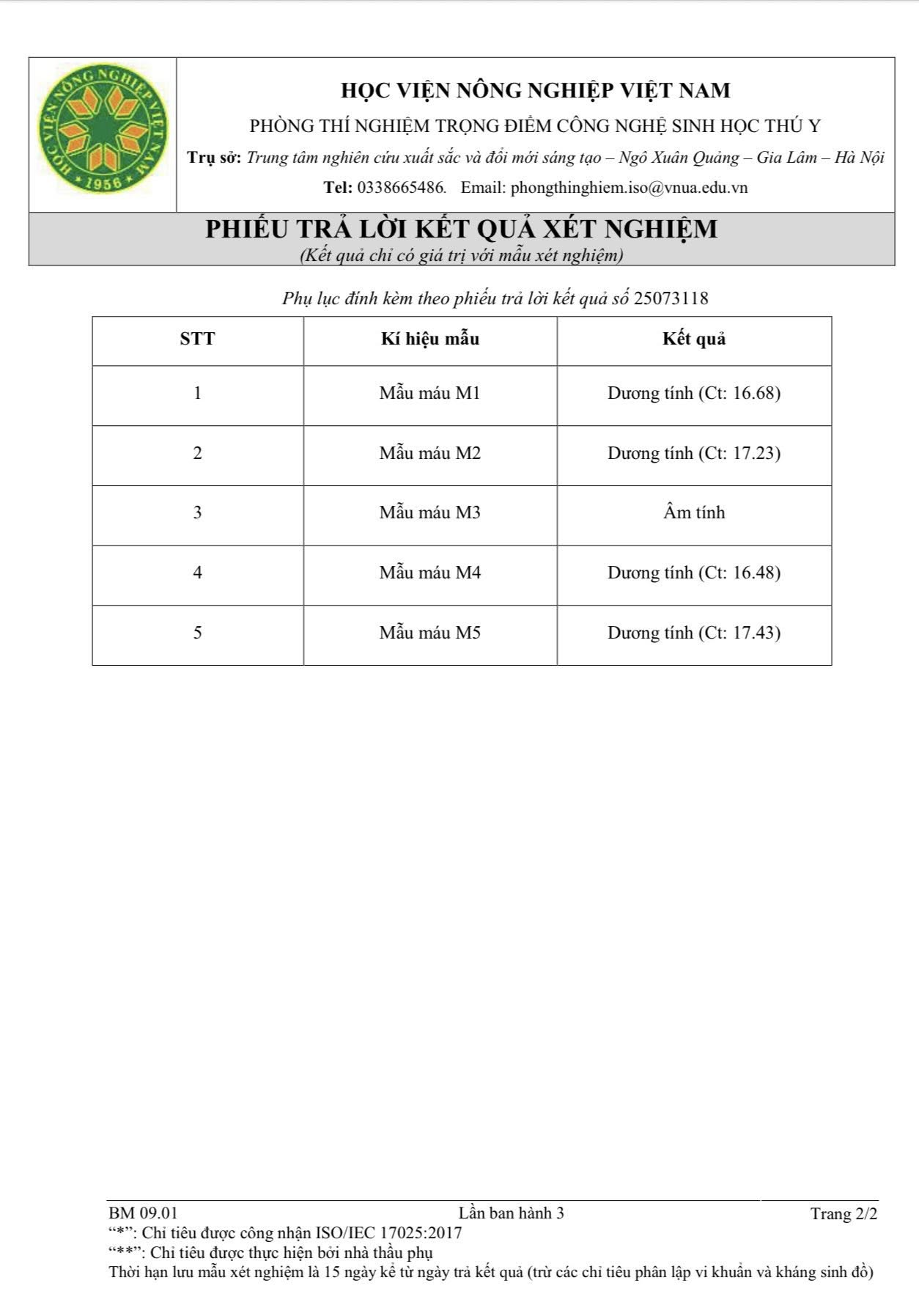 Cận cảnh 190 con lợn dương tính với dịch tả châu Phi đang vận chuyển về Hà Nội- Ảnh 3.