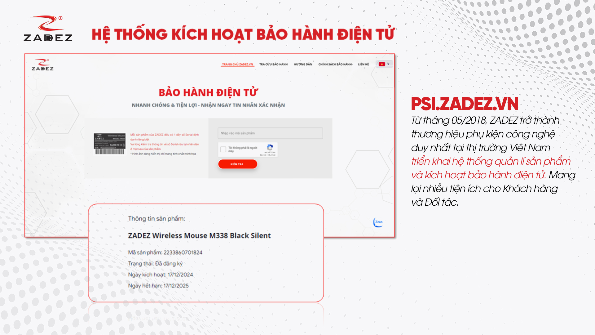 Viễn Sơn và Zadez – Khởi đầu cho một bước tiến bền vững - Ảnh 3.