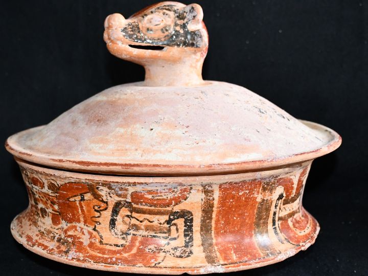 Phát hiện mộ cổ 1.600 tuổi của vua "thành phố ốc sên" - Ảnh 2.