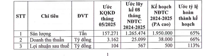 Hoa Sen Group bổ nhiệm một Phó Tổng Giám đốc - Ảnh 1.