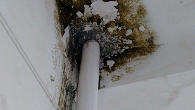 Ban công không phải chỗ để máy giặt, trừ khi bạn biết 3 điều này- Ảnh 1.