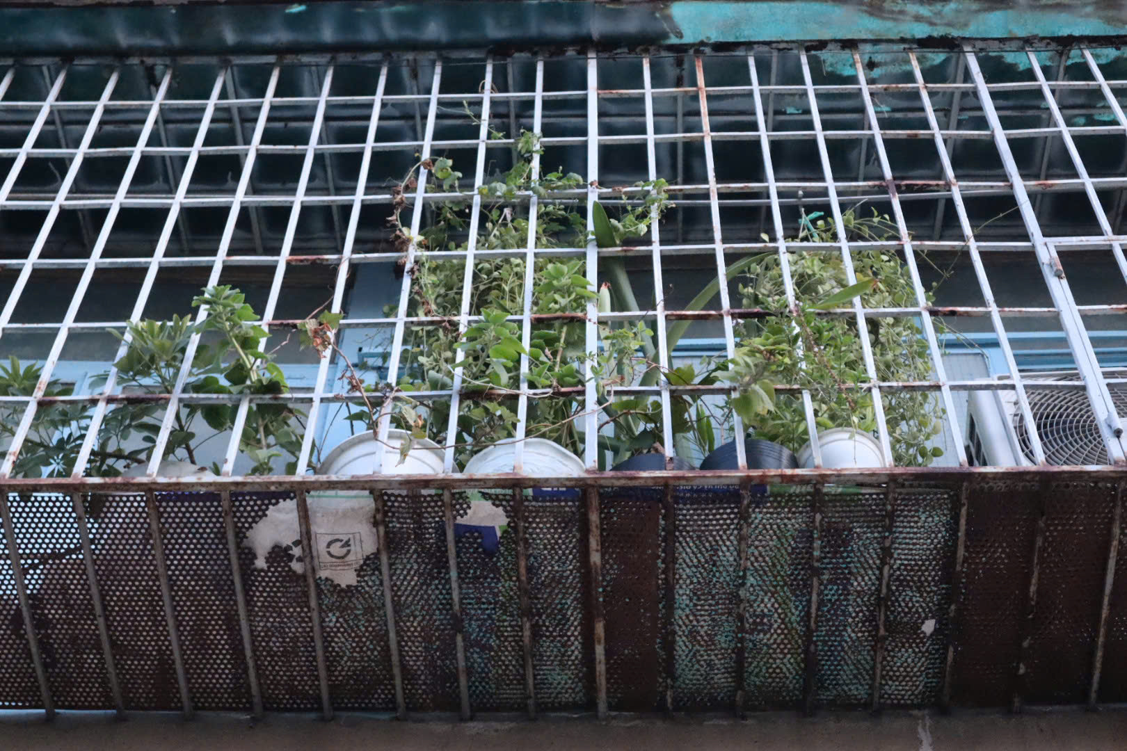 Cảnh báo tình trạng cơi nới, che chắn tại nhiều chung cư cũ ở TP Hồ Chí Minh- Ảnh 2.