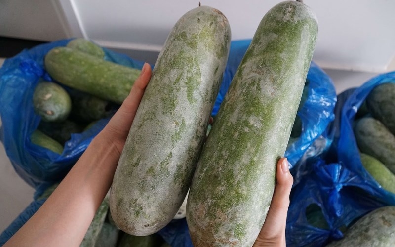 Giải mã trào lưu ngủ chung với… quả bí đao, bác sĩ: Mát, khỏe thật hay giả 4 kiểu người này cũng KHÔNG học theo- Ảnh 2.