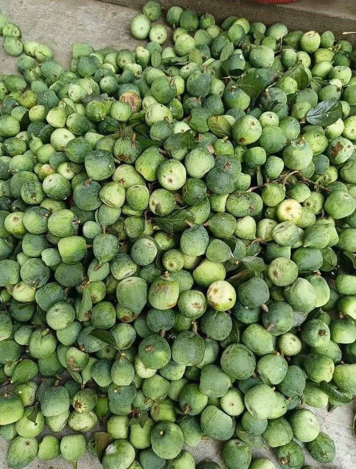 Thức quà mùa hè từ núi rừng chỉ có thể thưởng thức khi đến Cao Bằng- Ảnh 4.