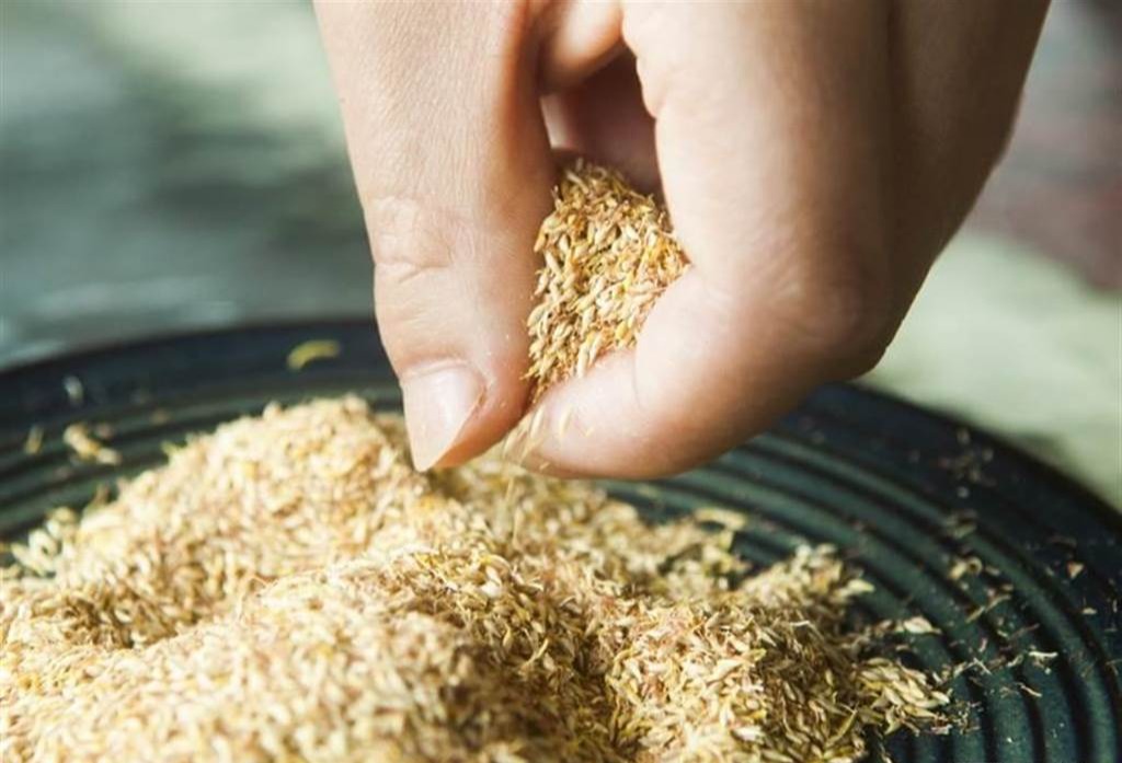 Thức quà mùa hè từ núi rừng chỉ có thể thưởng thức khi đến Cao Bằng- Ảnh 5.