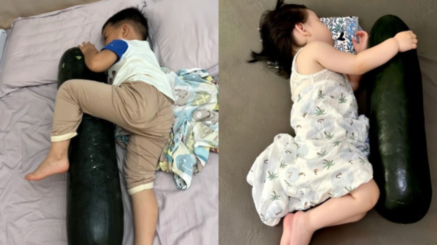 Giải mã trào lưu ngủ chung với… quả bí đao, bác sĩ: Mát, khỏe thật hay giả 4 kiểu người này cũng KHÔNG học theo- Ảnh 1.