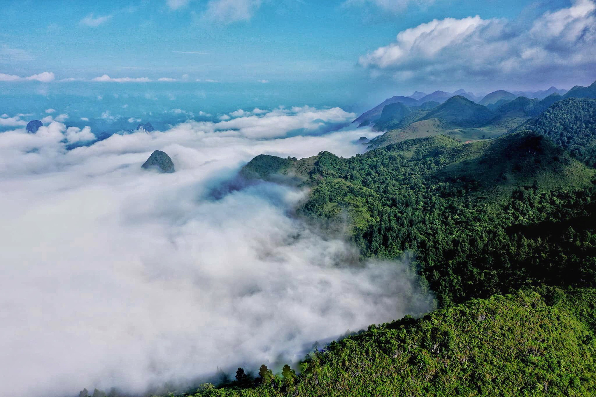 Thức quà mùa hè từ núi rừng chỉ có thể thưởng thức khi đến Cao Bằng- Ảnh 16.