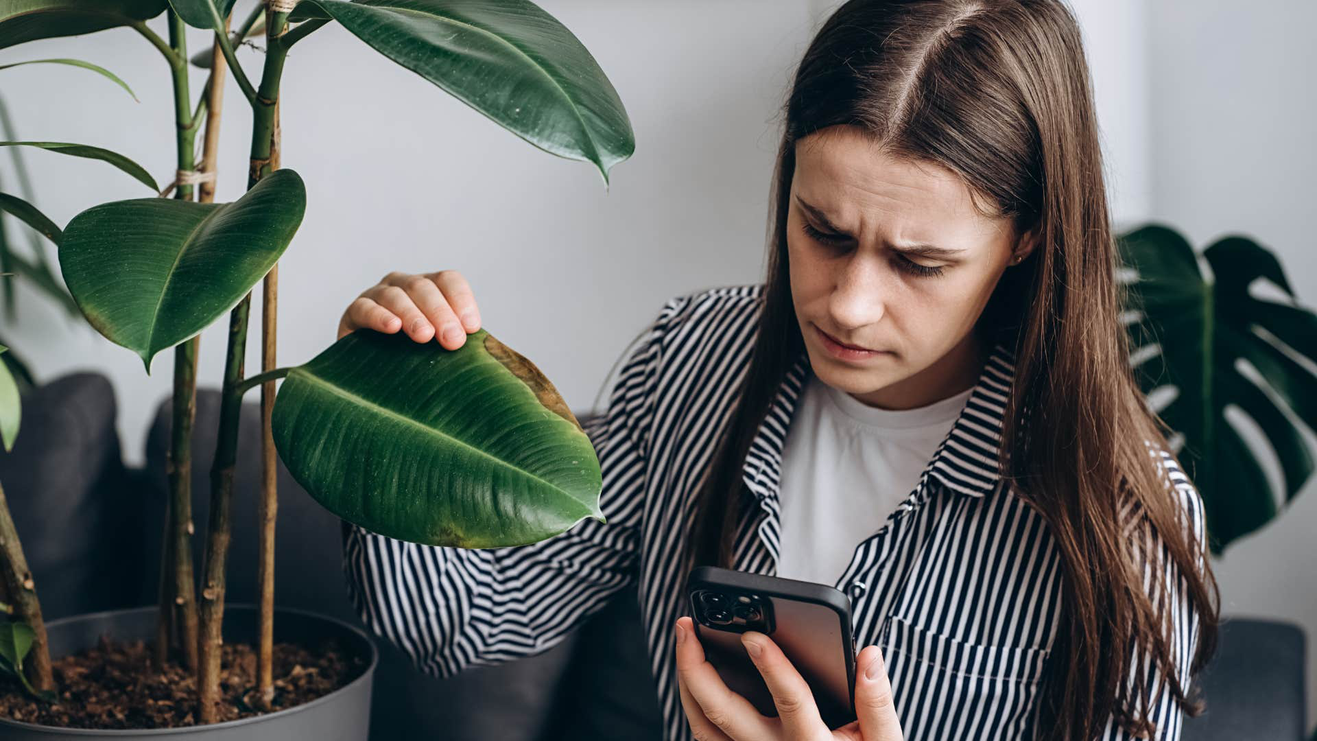 Dù nhà nhỏ hay to, đẹp hay xấu thì cũng nên dẹp ngay 5 thứ này trong phòng ngủ nếu không muốn bị "hút cạn" năng lượng- Ảnh 3.