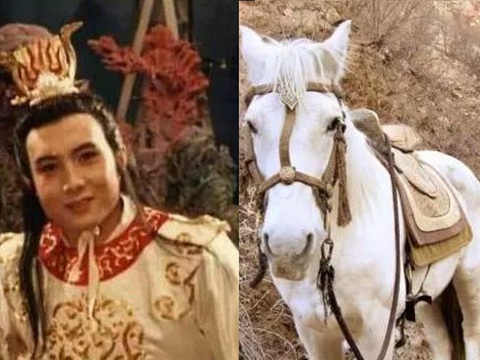 Tôi xem lại Tây Du Ký lần thứ n và nhận ra: Hình như công ty nào cũng có "sếp Đường Tăng" và bốn kiểu nhân viên quen thuộc- Ảnh 5.