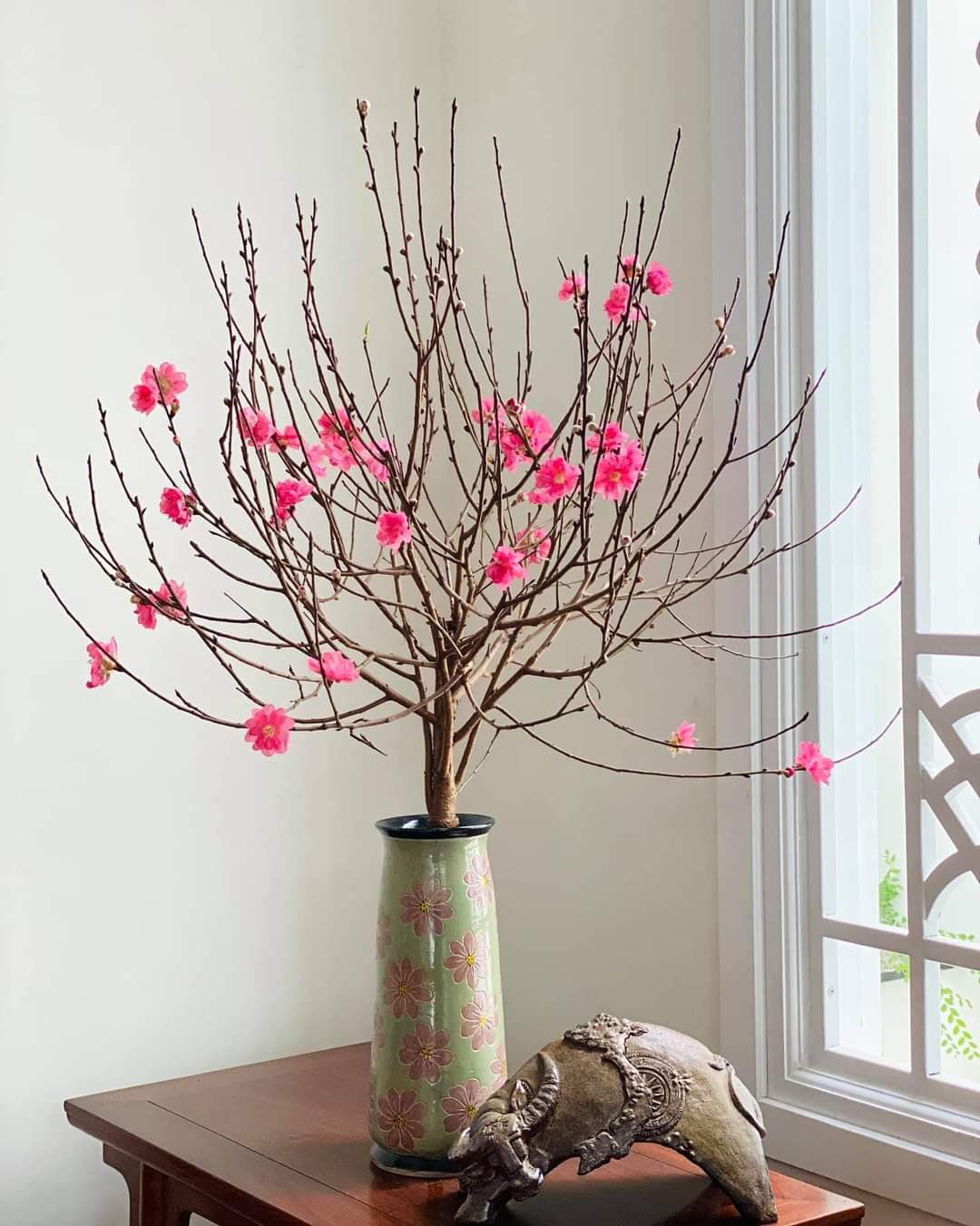 Trong nhà có loài hoa này, gia chủ không lo hết tiền, con cháu khỏe mạnh thông minh- Ảnh 4.