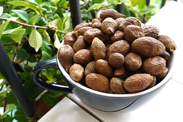 Người dân Đà Nẵng đổ vào rừng nhặt "lộc trời" bay có giá đến nửa triệu/kg: Công dụng tuyệt vời thế này bảo sao "đắt đỏ"?- Ảnh 3.