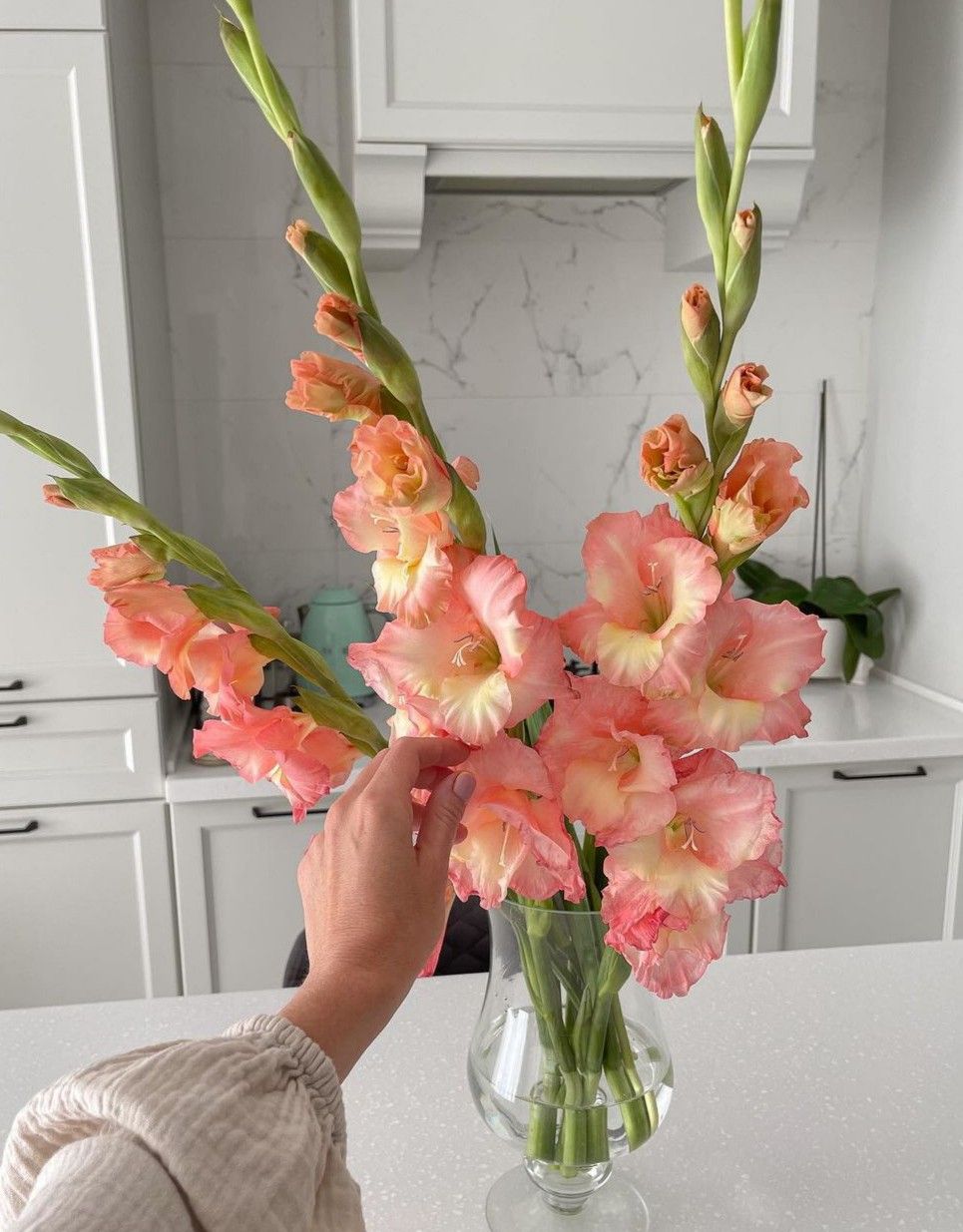 Trong nhà có loài hoa này, gia chủ không lo hết tiền, con cháu khỏe mạnh thông minh- Ảnh 6.