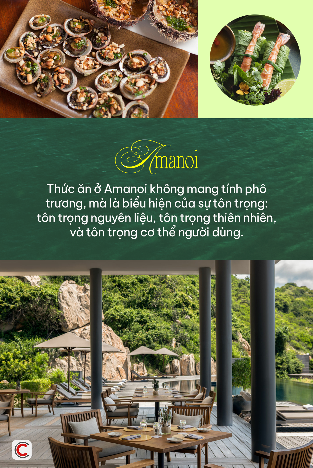 Khu biệt thự mới trên vịnh Vĩnh Hy - định nghĩa mới của xa xỉ: Nơi từng khoảnh khắc được chạm bằng nghệ thuật sống tối thượng- Ảnh 10.