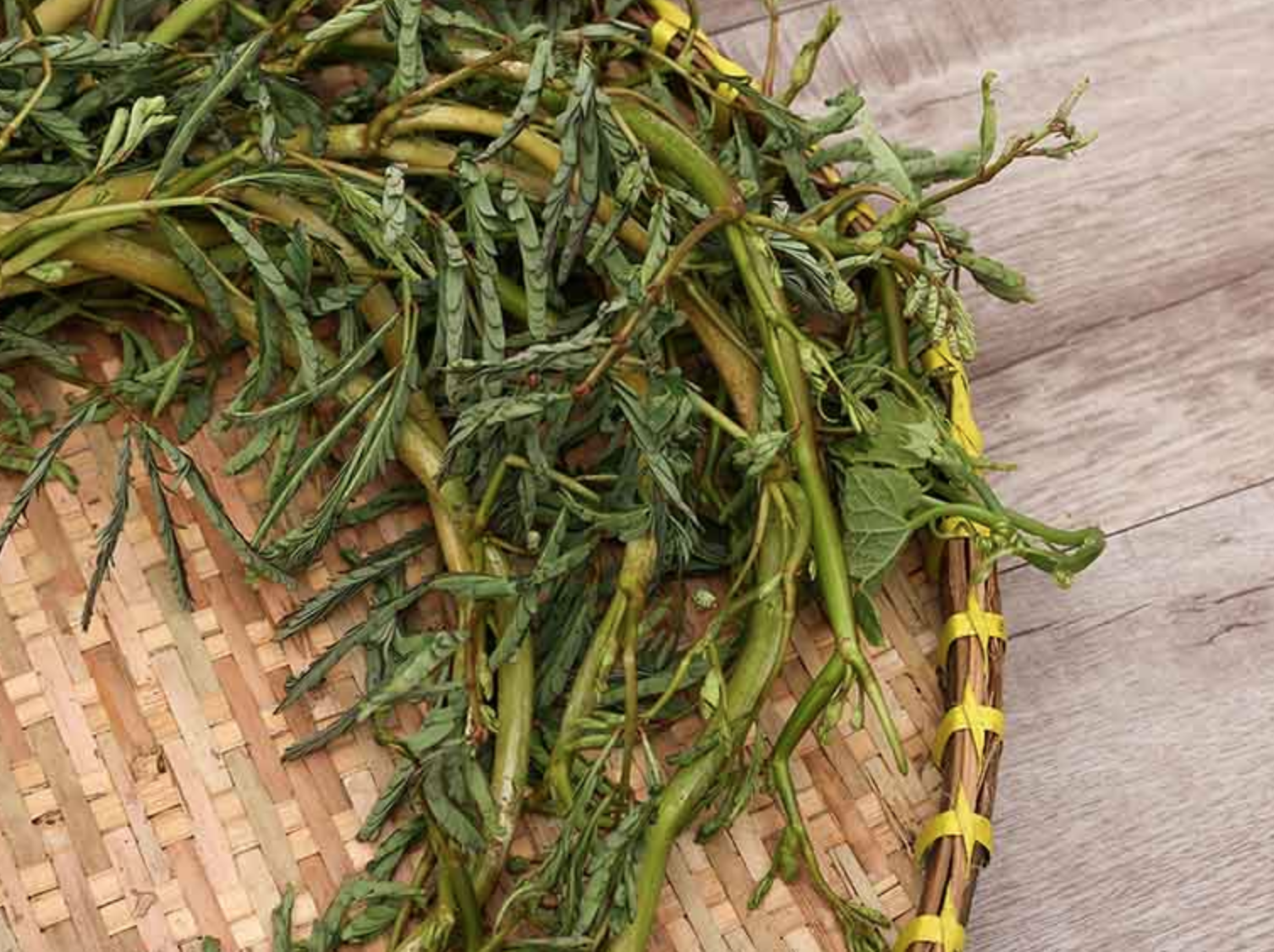 Loại rau 10.000 đồng/bó nhưng chỉ nhặt được 1 "nhúm": Ở nước ngoài có tiền cũng chưa chắc mua được!- Ảnh 2.