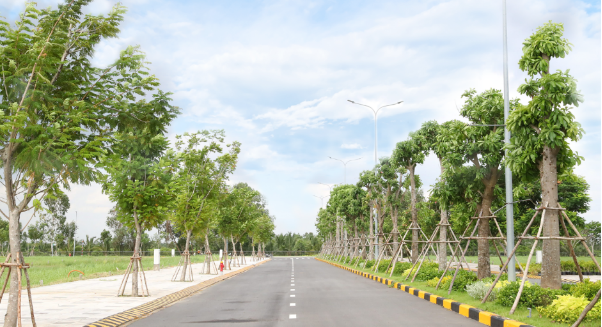 Bến Lức thêm hàng ngàn héc-ta KCN, giới đầu tư chộn rộn gom hàng - Ảnh 2.