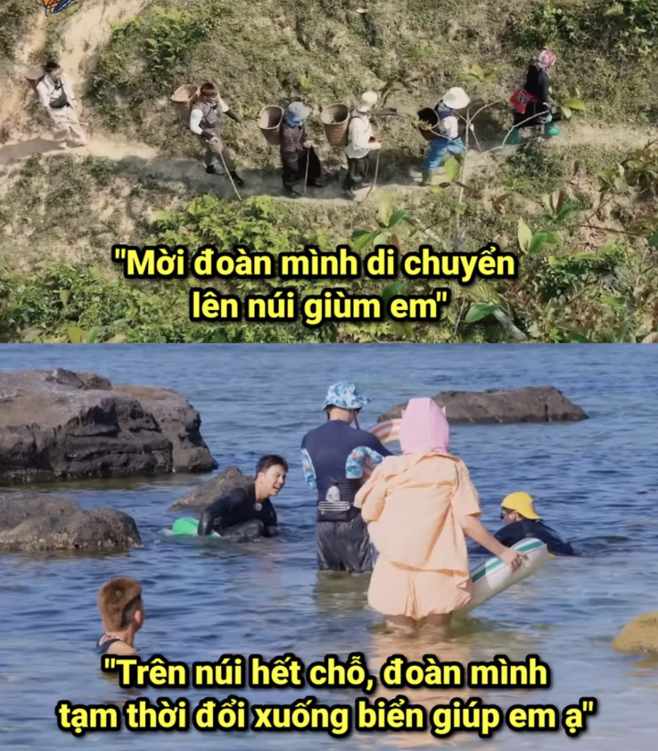 Vì sao câu 'mời đoàn mình di chuyển lên núi giúp em' thành hot trend?- Ảnh 1.