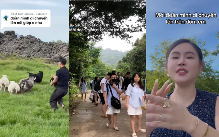 Vì sao câu 'mời đoàn mình di chuyển lên núi giúp em' thành hot trend?- Ảnh 3.