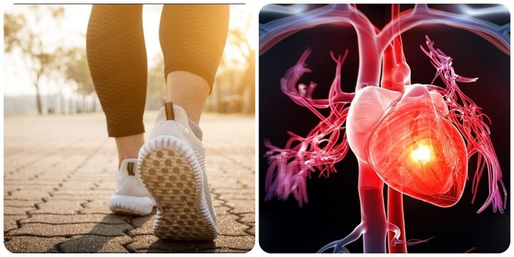 Những kiểu đi bộ giúp cơ tim khoẻ mạnh