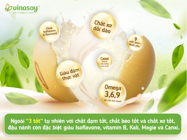 Đậu nành – Hạt vàng trong làng hạt lên ngôi theo xu hướng dinh dưỡng thực vật - Ảnh 1.