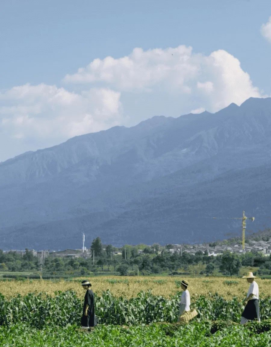 Bỏ phố về làng, cặp vợ chồng chỉ làm 3 ngày mỗi tuần, sống "một kiểu giàu có" nhiều người mơ ước - Ảnh 12. Bỏ phố về làng, cặp vợ chồng chỉ làm 3 ngày mỗi tuần, sống "một kiểu giàu có" nhiều người mơ ước - Ảnh 12.