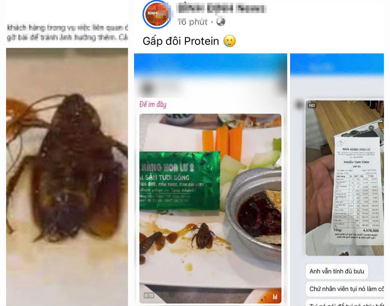 Làm rõ việc có gián xuất hiện trong món ăn tại một nhà hàng ở Quy Nhơn- Ảnh 2.