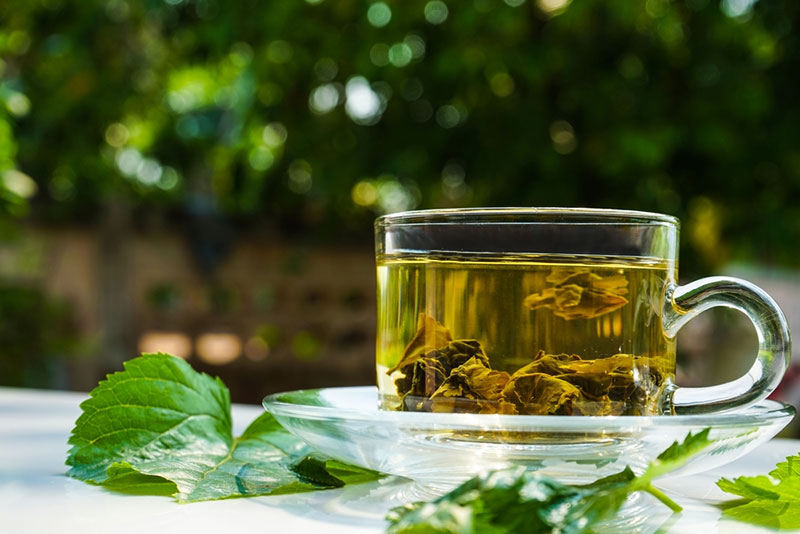 Việt Nam có loại lá chống rụng tóc, kích thích mọc tóc cực tốt: Biết dùng còn giảm mỡ máu, chống ung thư- Ảnh 4.