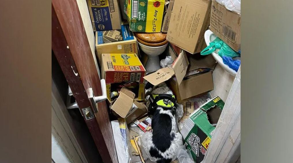 Kiểm tra bí mật 1 cửa hàng, phát hiện lượng lớn hàng giả, hàng bất hợp pháp dưới toilet: Tòa án vào cuộc