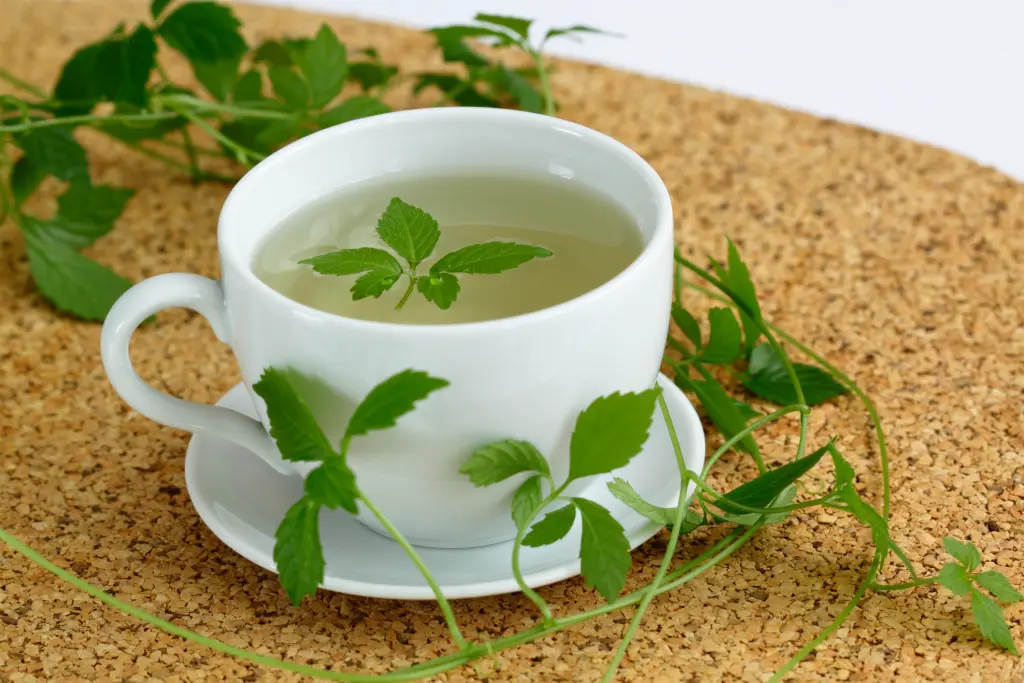 Mỹ đánh giá đây là thảo dược trường sinh tốt hơn trà xanh, bổ ngang nhân sâm, Việt Nam trồng cực nhiều
