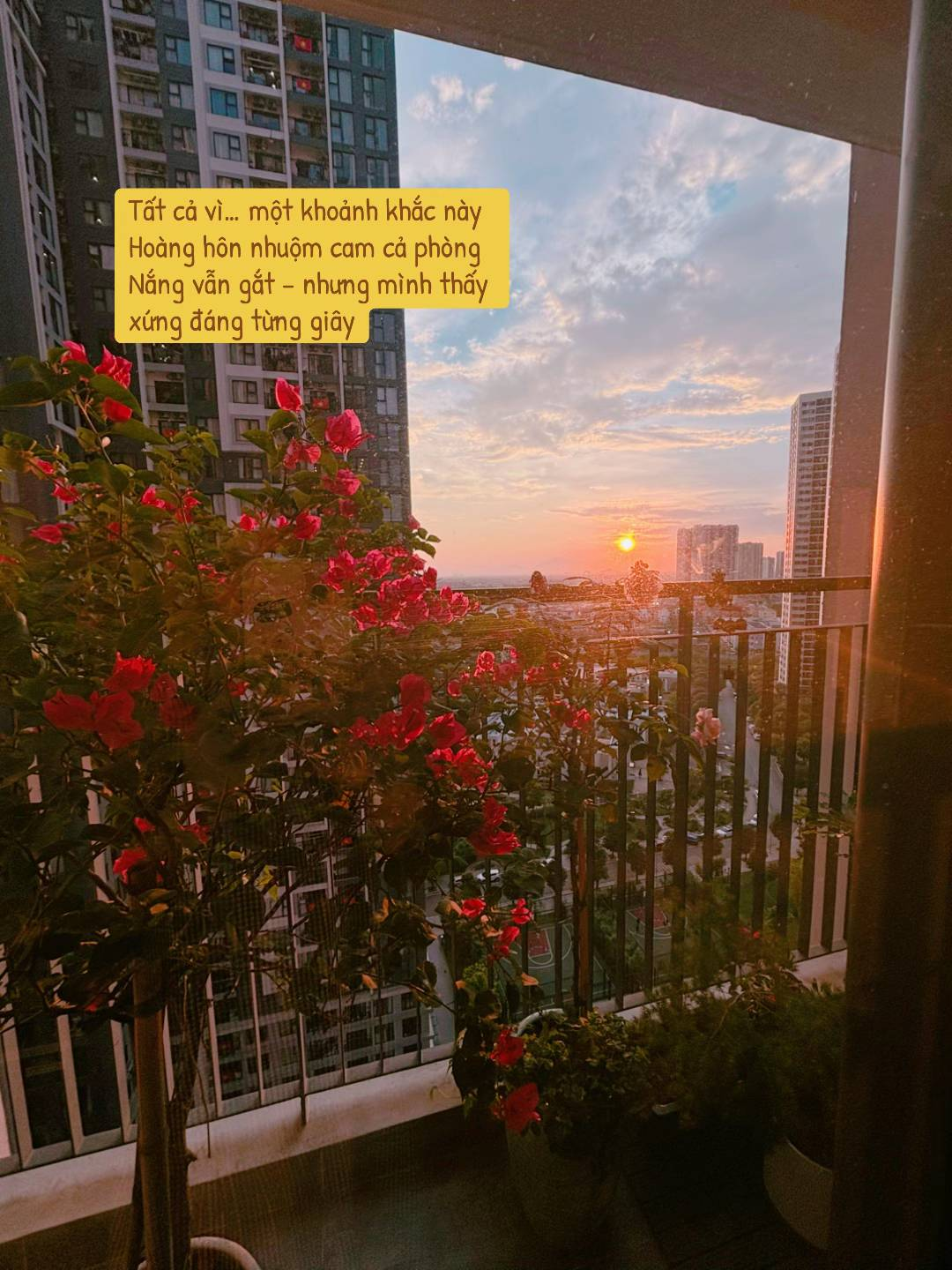 3 cách chống nóng hiệu quả cho nhà hướng Tây: Vợ chồng trẻ ở Hà Nội áp dụng và thấy mát hẳn sau 1 tuần- Ảnh 11.