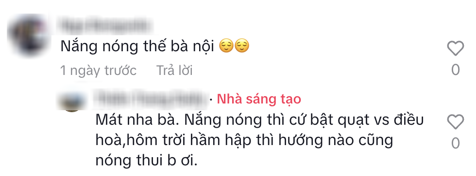 3 cách chống nóng hiệu quả cho nhà hướng Tây: Vợ chồng trẻ ở Hà Nội áp dụng và thấy mát hẳn sau 1 tuần- Ảnh 4.